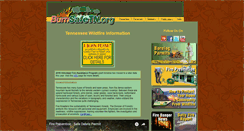 Desktop Screenshot of burnsafetn.org